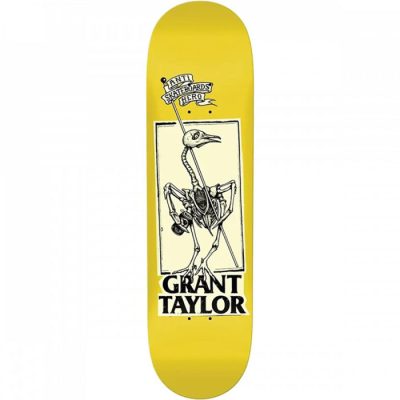 Antihero Taylor Pigeon Vision Skateboard Deck