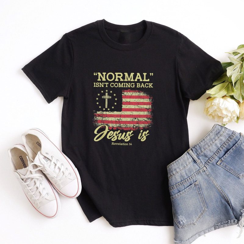 Normal Isn't Coming Back USA Unisex T-Shirt